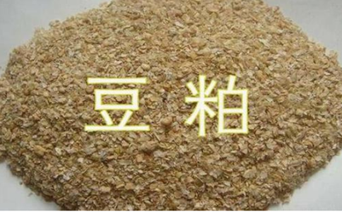 怎么享受優惠手續費？豆粕期平今倉